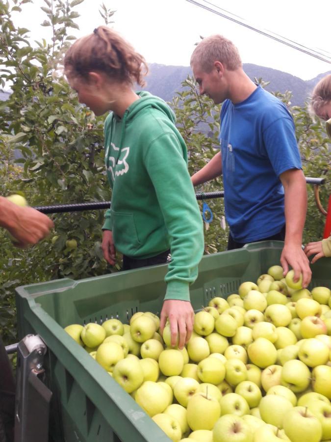 Moserhof Marlengo Eksteriør bilde
